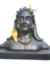 Adhiyogi